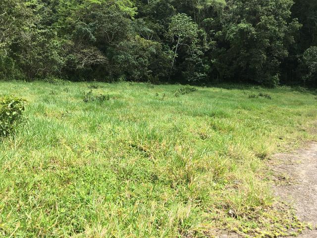 First image of Chippenham Park, Bamboo in Bamboo, St. Ann, Jamaica - property is For Sale