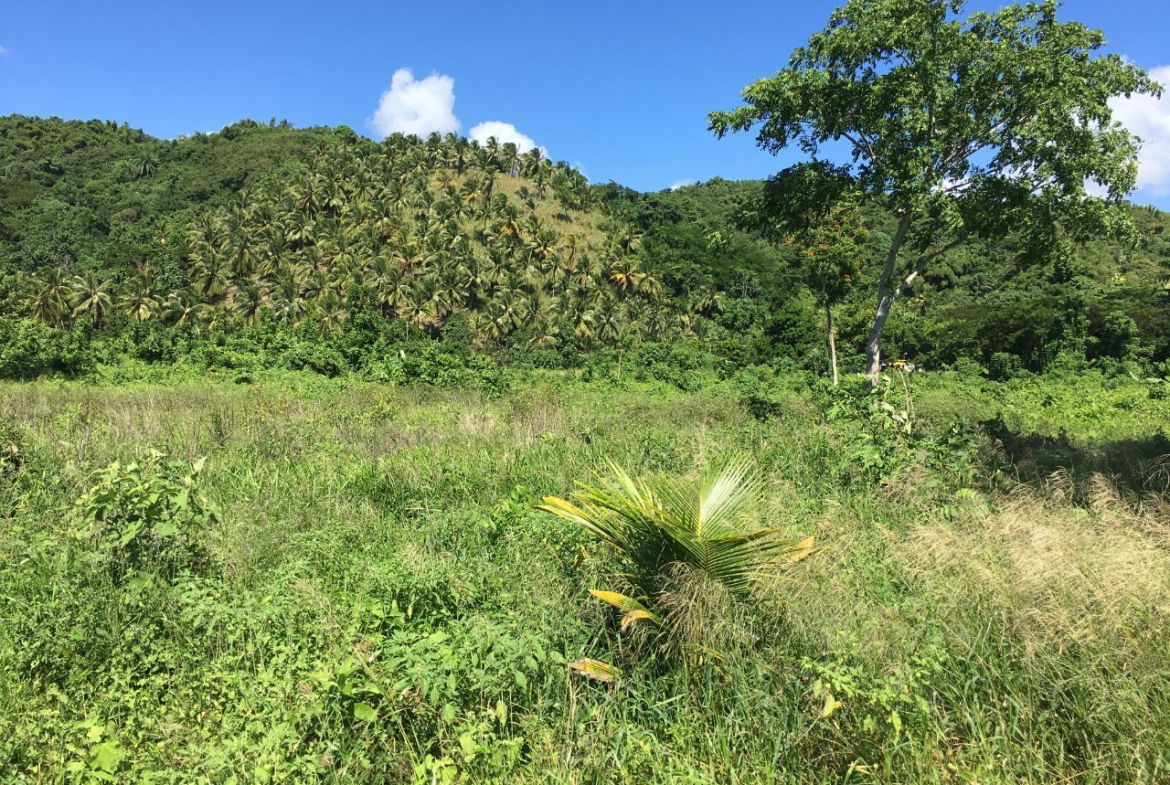 Second image of Rhine, Bath in Bath, St. Thomas, Jamaica - property is For Sale