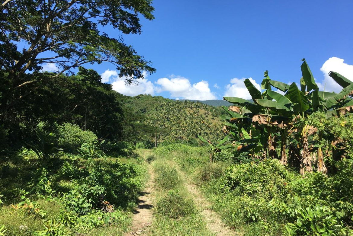Twelfth image of Rhine, Bath in Bath, St. Thomas, Jamaica - property is For Sale