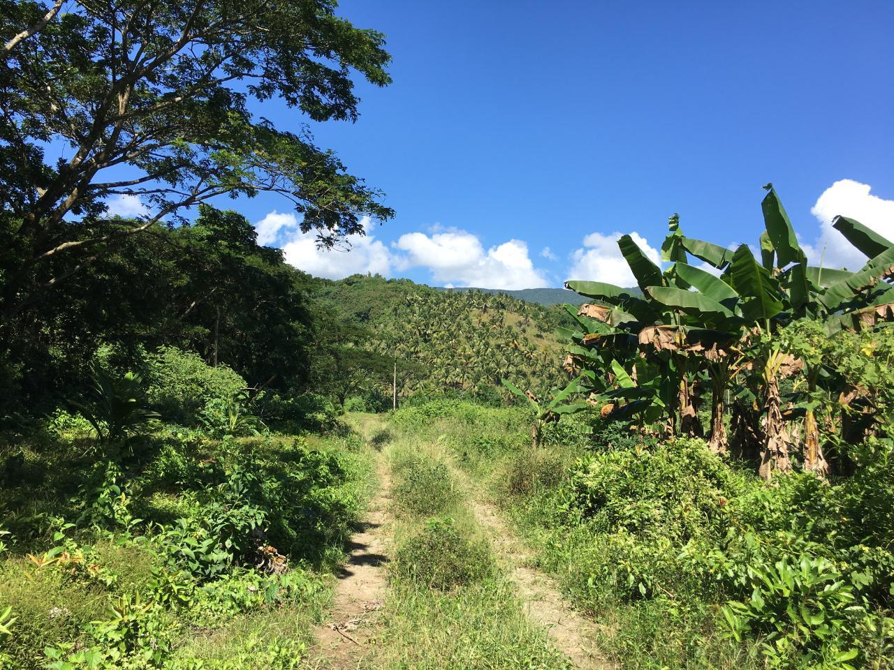 Twelfth image of Rhine, Bath in Bath, St. Thomas, Jamaica - property is For Sale