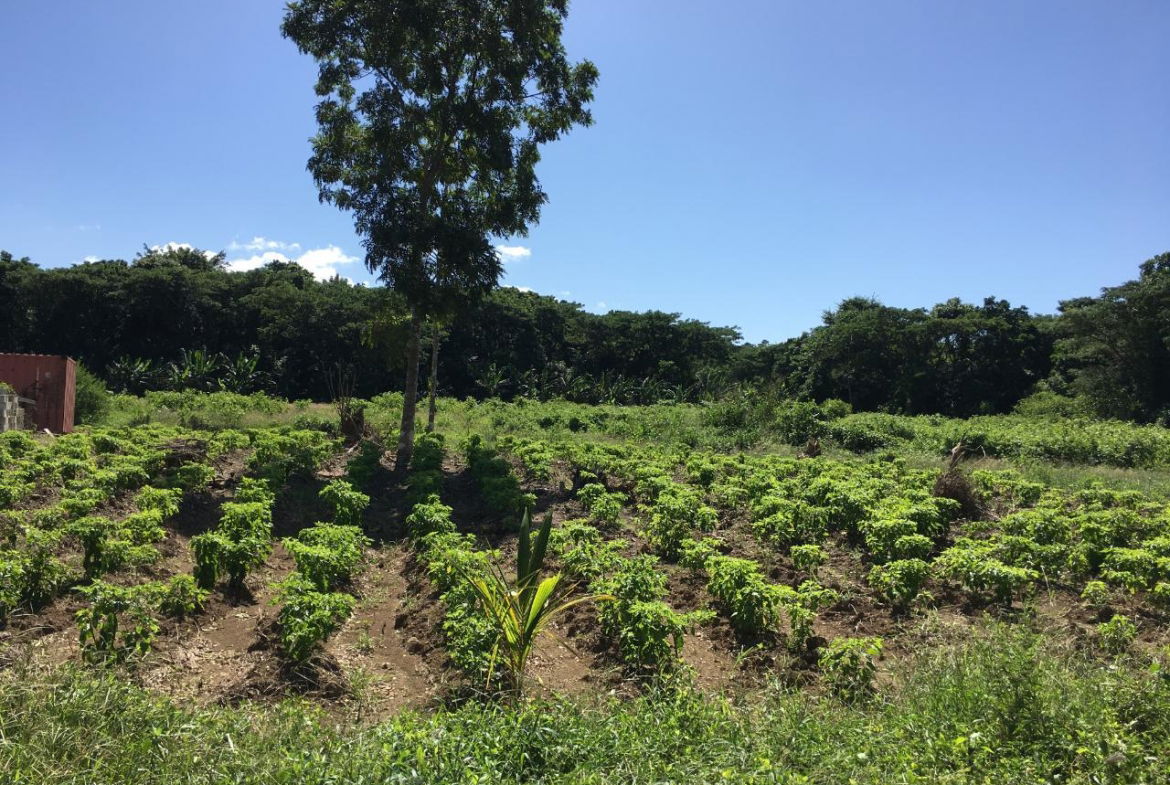 First image of Rhine, Bath in Bath, St. Thomas, Jamaica - property is For Sale