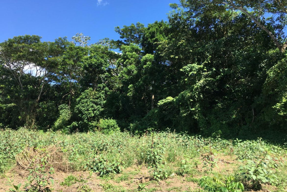 Fourteenth image of Rhine, Bath in Bath, St. Thomas, Jamaica - property is For Sale