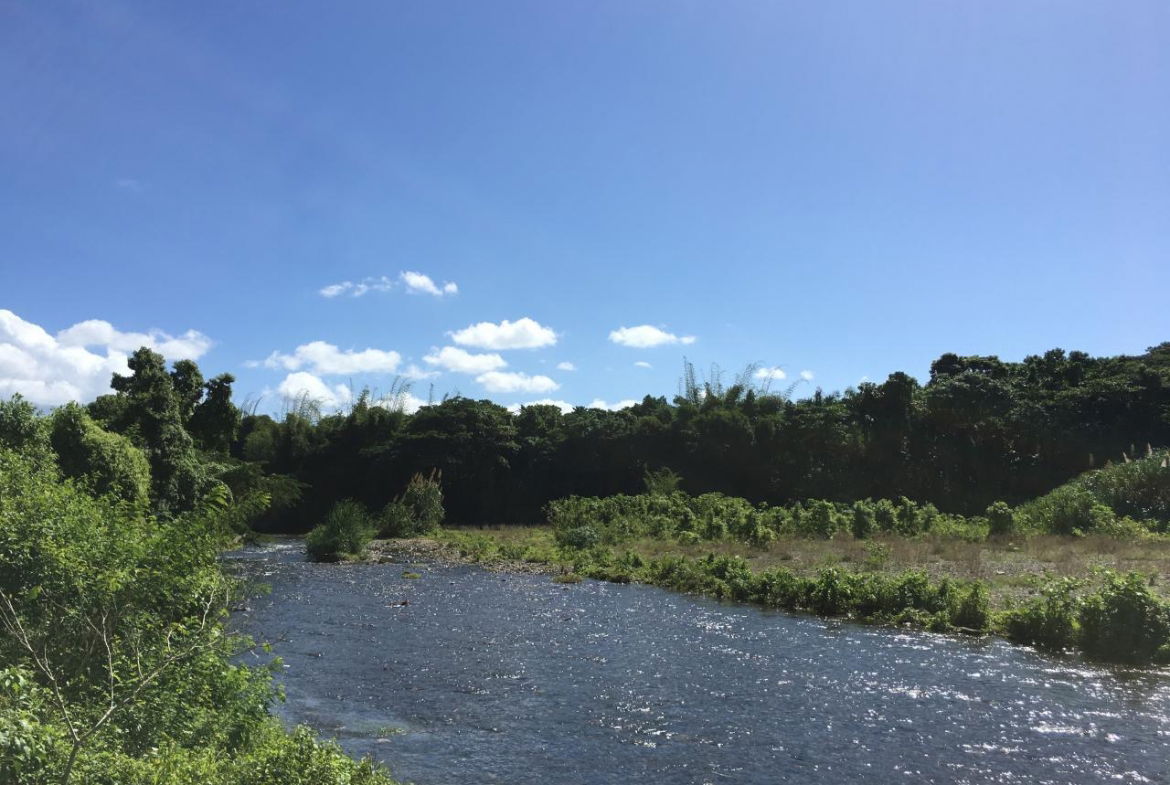 Sixteenth image of Rhine, Bath in Bath, St. Thomas, Jamaica - property is For Sale