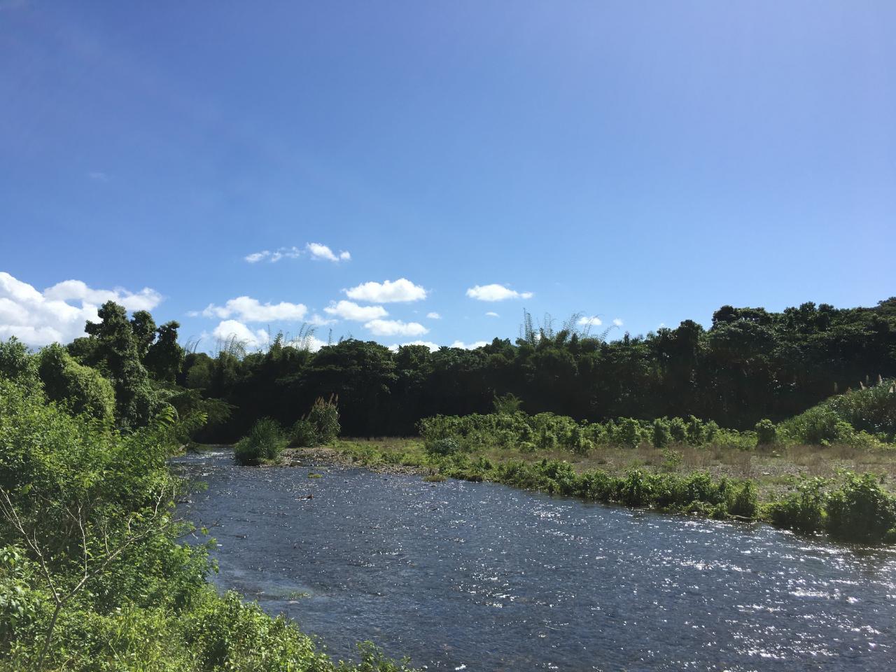 Sixteenth image of Rhine, Bath in Bath, St. Thomas, Jamaica - property is For Sale