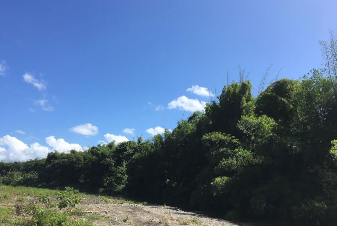 Seventeenth image of Rhine, Bath in Bath, St. Thomas, Jamaica - property is For Sale