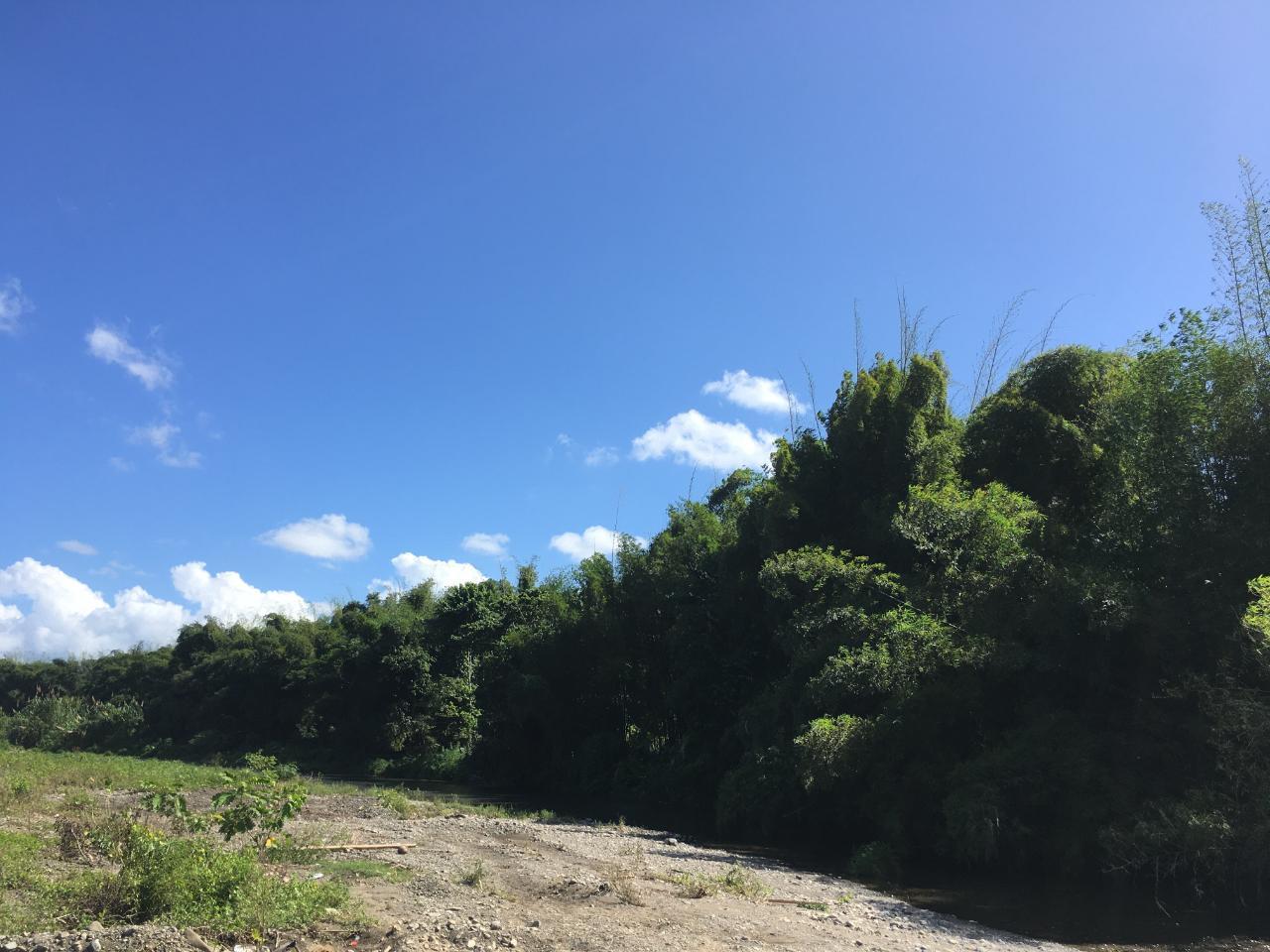 Seventeenth image of Rhine, Bath in Bath, St. Thomas, Jamaica - property is For Sale