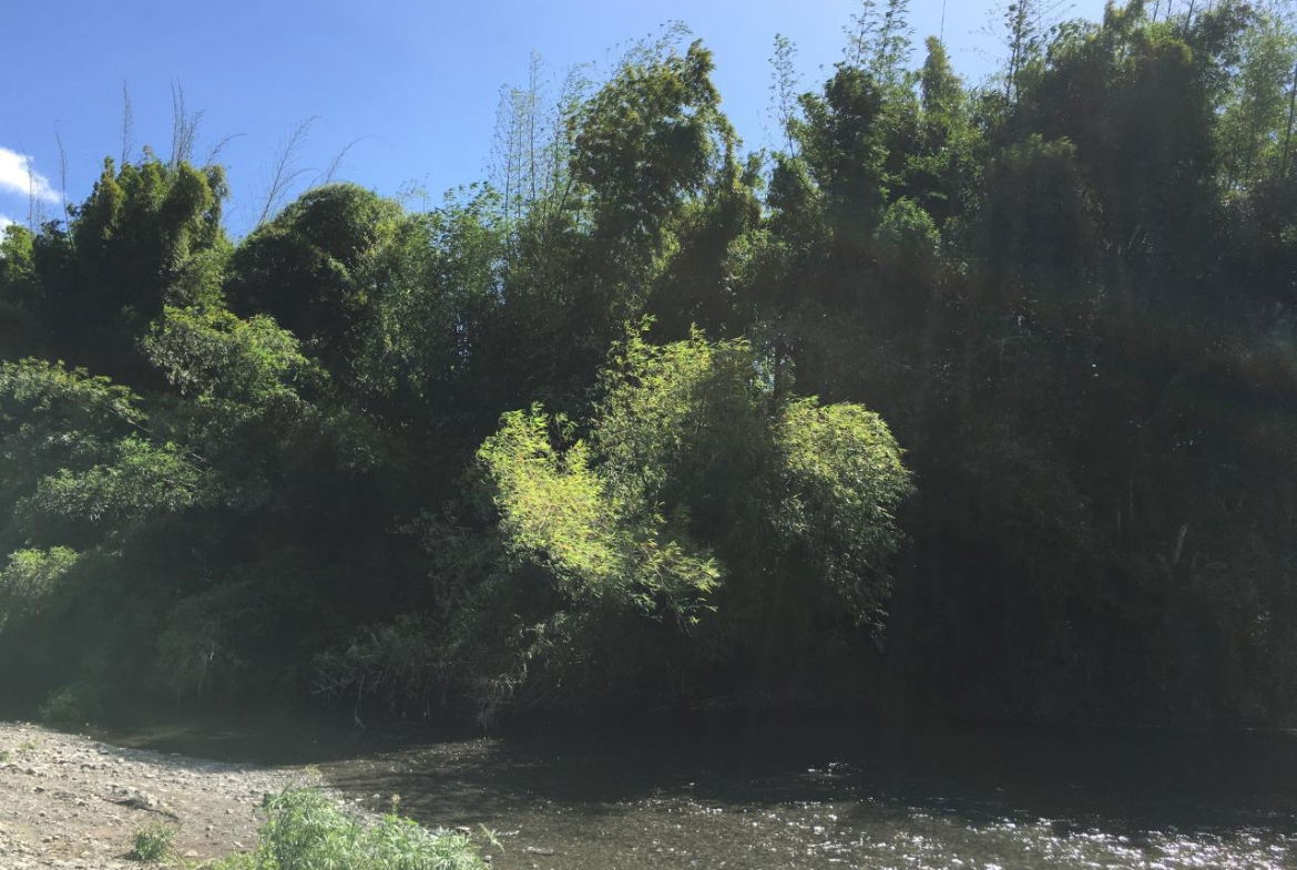 Eighteenth image of Rhine, Bath in Bath, St. Thomas, Jamaica - property is For Sale