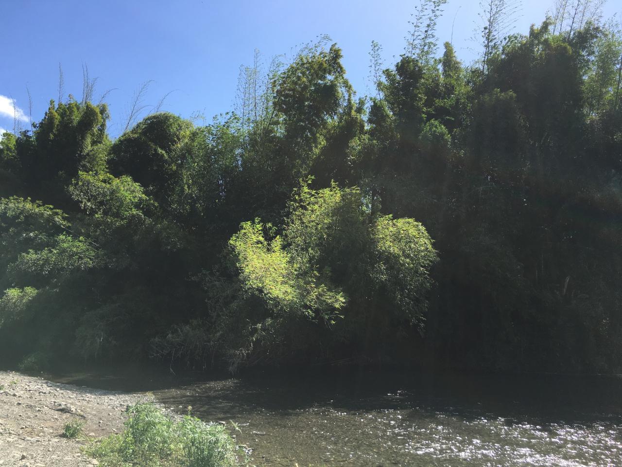 Eighteenth image of Rhine, Bath in Bath, St. Thomas, Jamaica - property is For Sale