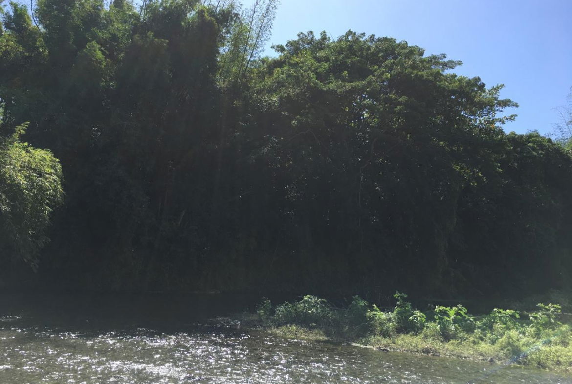 Nineteenth image of Rhine, Bath in Bath, St. Thomas, Jamaica - property is For Sale