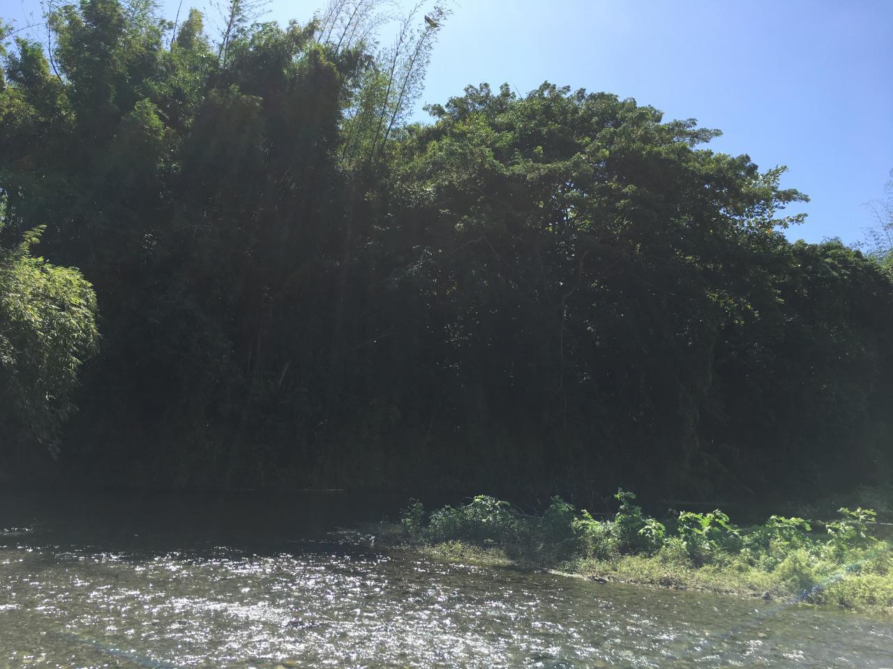 Nineteenth image of Rhine, Bath in Bath, St. Thomas, Jamaica - property is For Sale