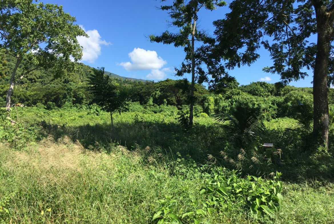 Third image of Rhine, Bath in Bath, St. Thomas, Jamaica - property is For Sale