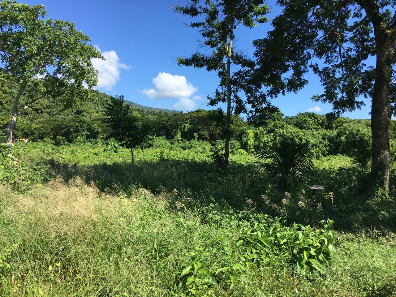 Third image of Rhine, Bath in Bath, St. Thomas, Jamaica - property is For Sale