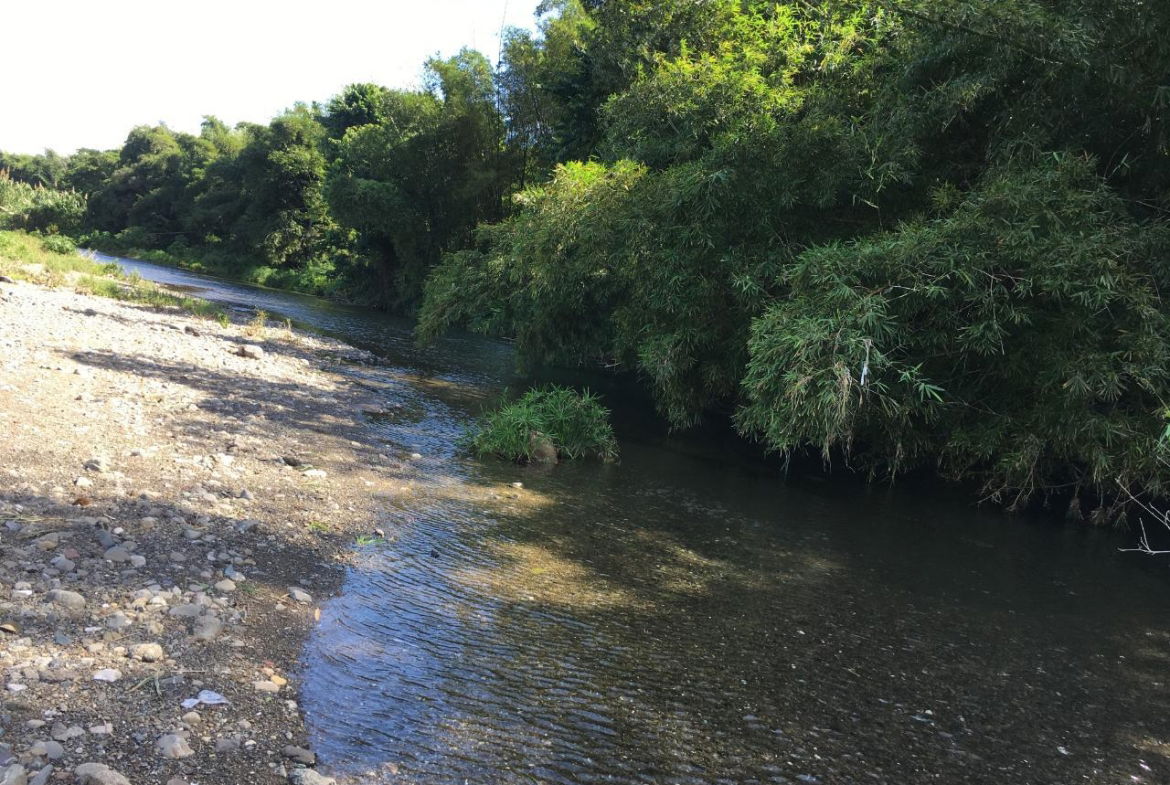 Twenty-First image of Rhine, Bath in Bath, St. Thomas, Jamaica - property is For Sale