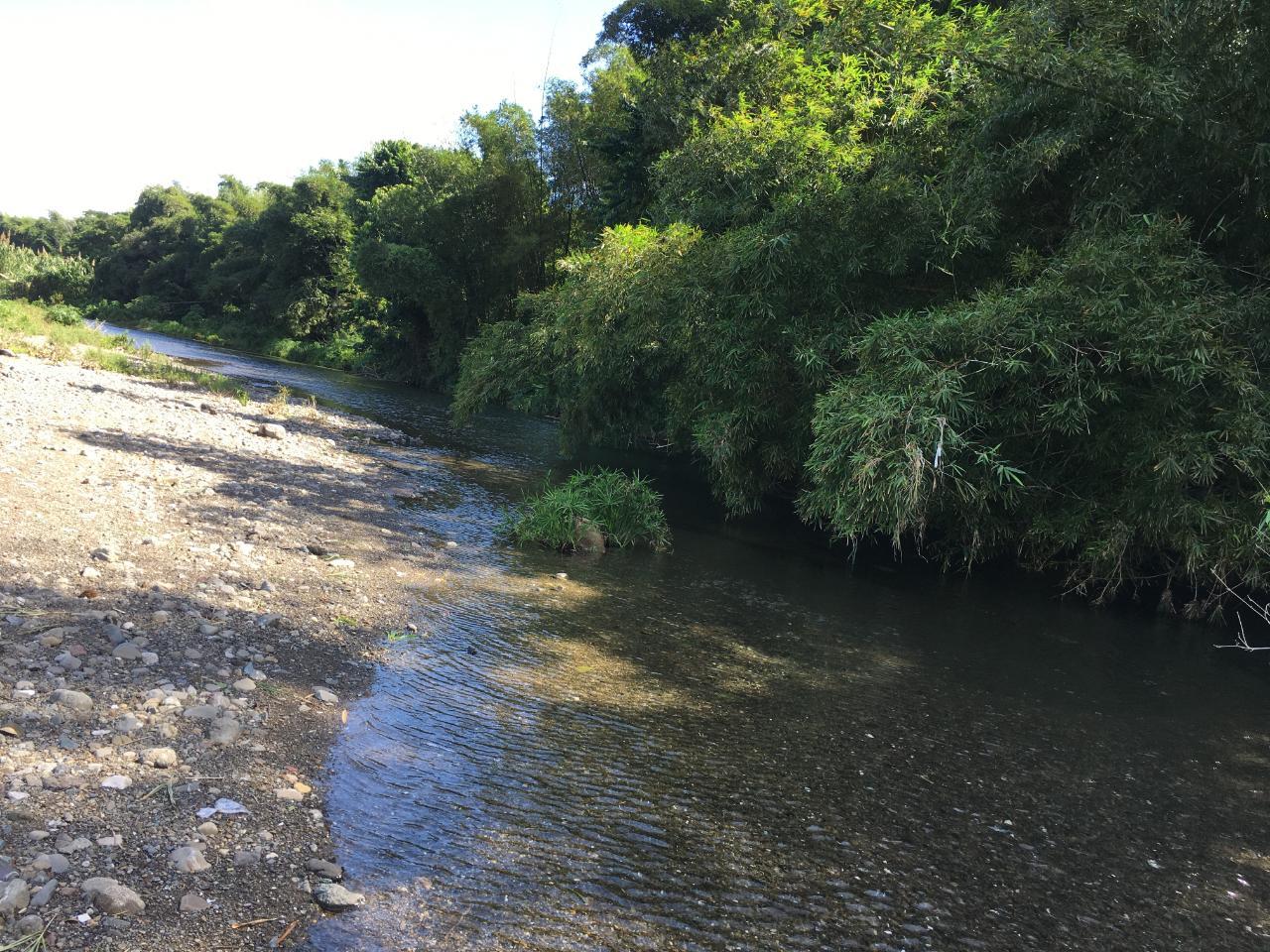 Twenty-First image of Rhine, Bath in Bath, St. Thomas, Jamaica - property is For Sale