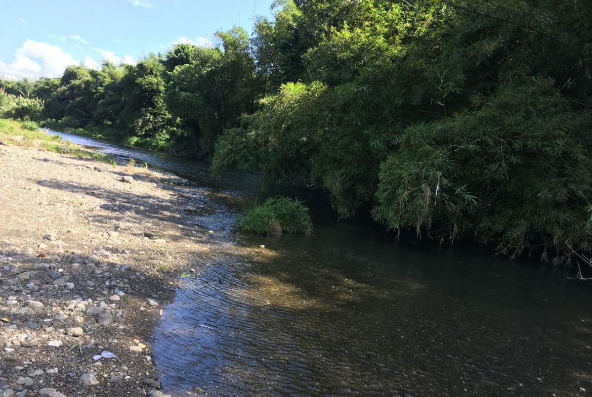 Twenty-Second image of Rhine, Bath in Bath, St. Thomas, Jamaica - property is For Sale