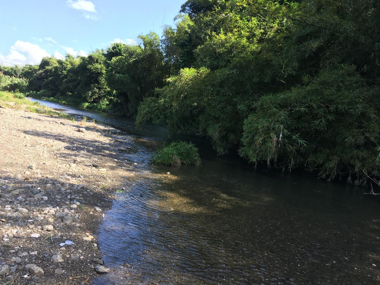 Twenty-Second image of Rhine, Bath in Bath, St. Thomas, Jamaica - property is For Sale