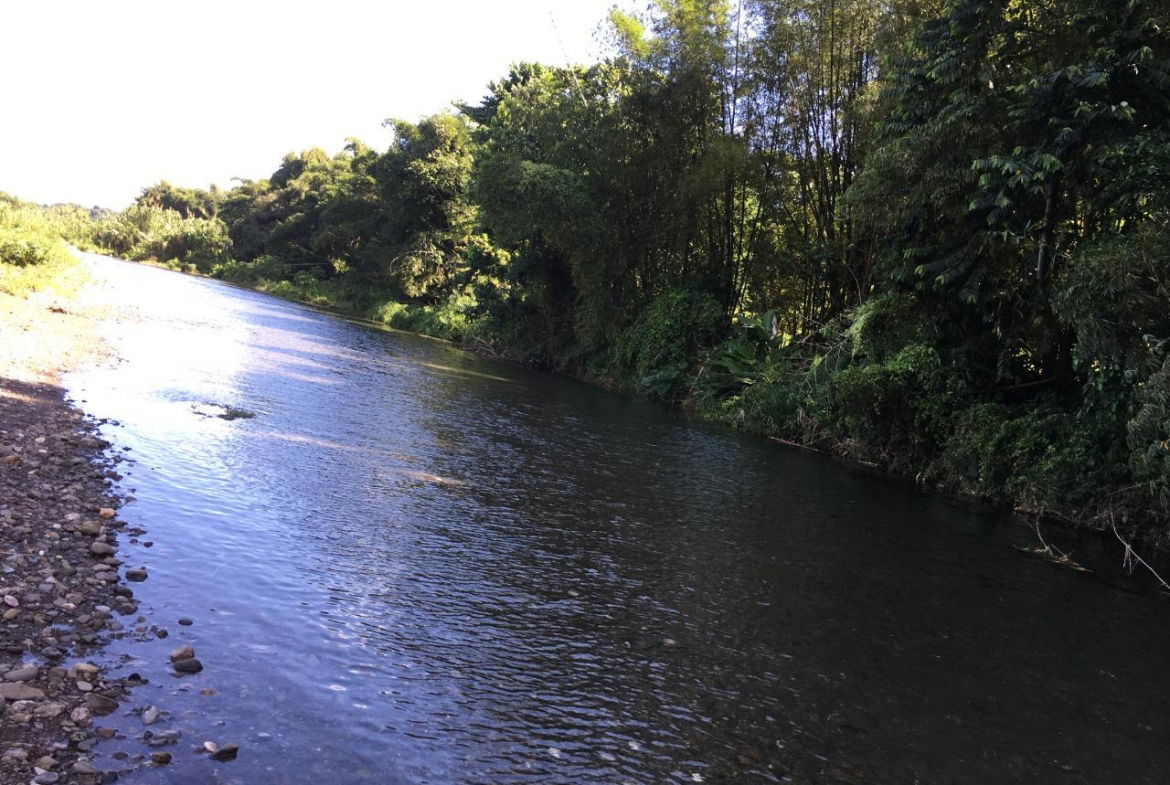 Twenty-Third image of Rhine, Bath in Bath, St. Thomas, Jamaica - property is For Sale