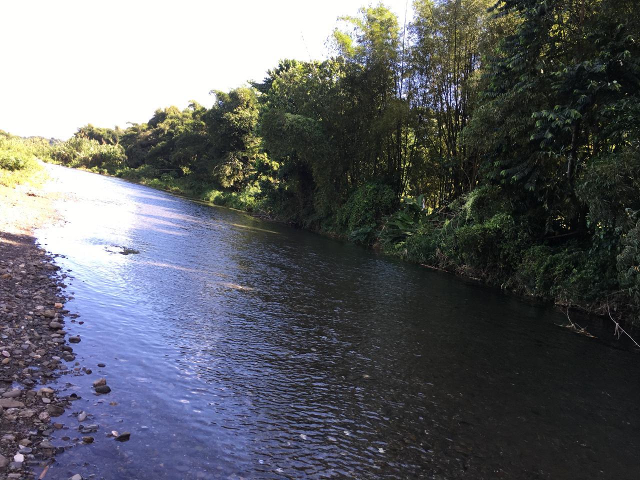 Twenty-Third image of Rhine, Bath in Bath, St. Thomas, Jamaica - property is For Sale