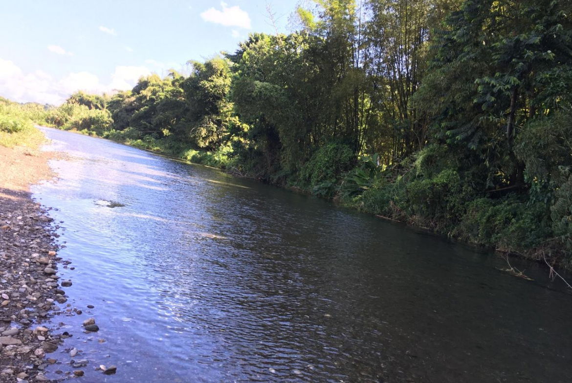 Twenty-Fourth image of Rhine, Bath in Bath, St. Thomas, Jamaica - property is For Sale