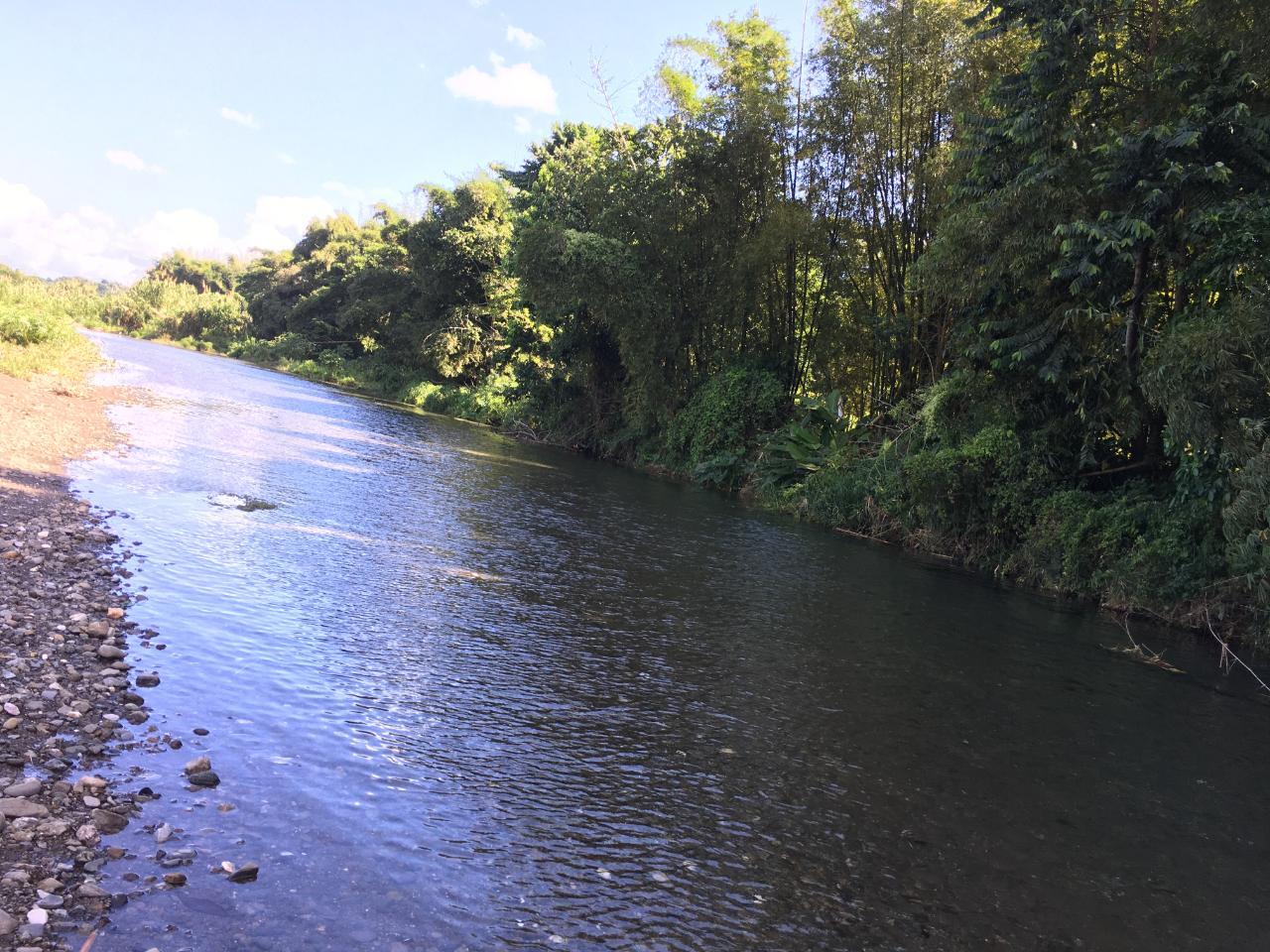 Twenty-Fourth image of Rhine, Bath in Bath, St. Thomas, Jamaica - property is For Sale