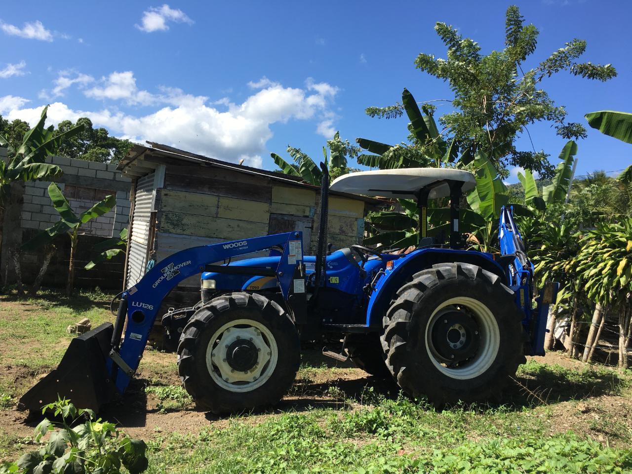 Twenty-Seventh image of Rhine, Bath in Bath, St. Thomas, Jamaica - property is For Sale