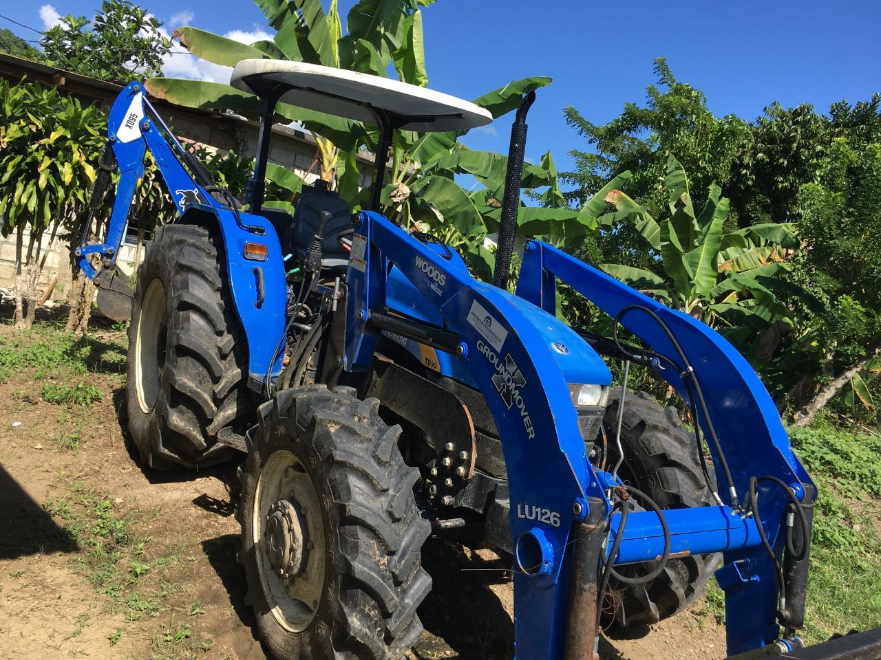 Twenty-Eighth image of Rhine, Bath in Bath, St. Thomas, Jamaica - property is For Sale