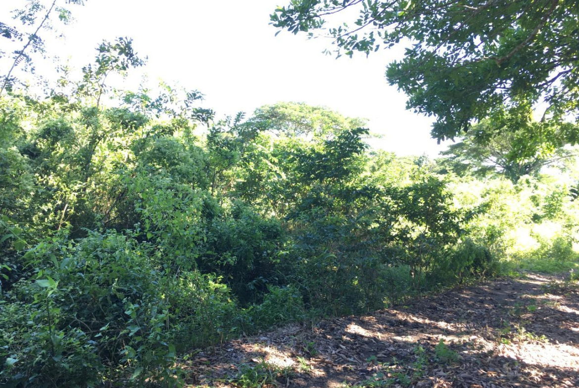 Thirtieth image of Rhine, Bath in Bath, St. Thomas, Jamaica - property is For Sale