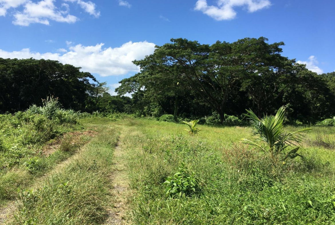 Sixth image of Rhine, Bath in Bath, St. Thomas, Jamaica - property is For Sale