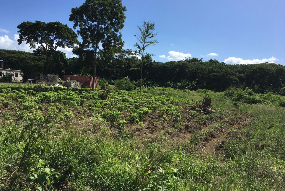 Seventh image of Rhine, Bath in Bath, St. Thomas, Jamaica - property is For Sale