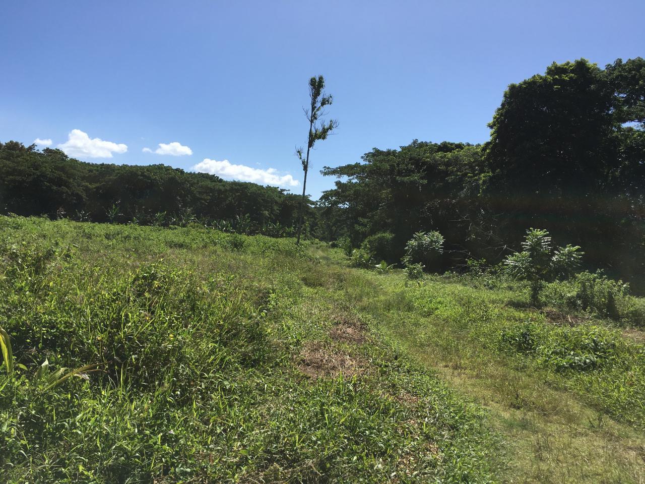 Eighth image of Rhine, Bath in Bath, St. Thomas, Jamaica - property is For Sale