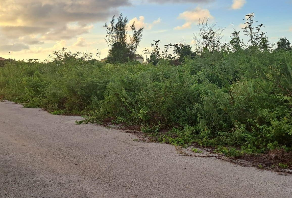 Sixth image of 96 Flamingo Beach, Falmouth, in Falmouth, Trelawny, Jamaica - property is For Rent