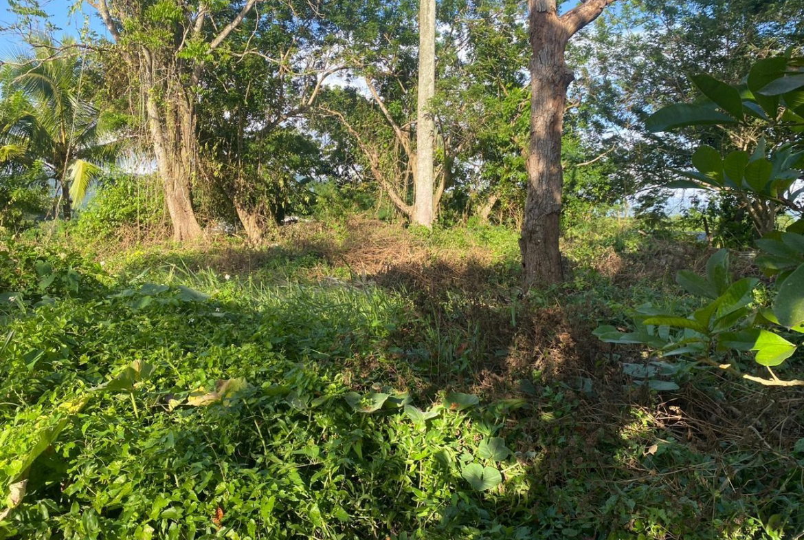 Second image of Eden Street in Mandeville, Manchester, Jamaica - property is For Sale
