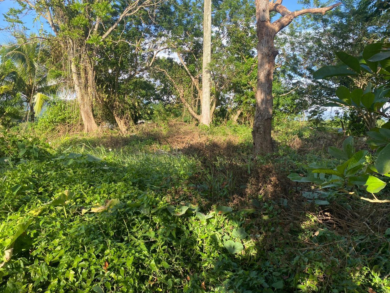 12000-sq-ft-Residential-Lot-for-Sale-in-Manchester-Jamaica Second image of Eden Street in Mandeville, Manchester, Jamaica - property is For Sale