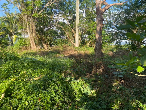 Second image of Eden Street in Mandeville, Manchester, Jamaica - property is For Sale