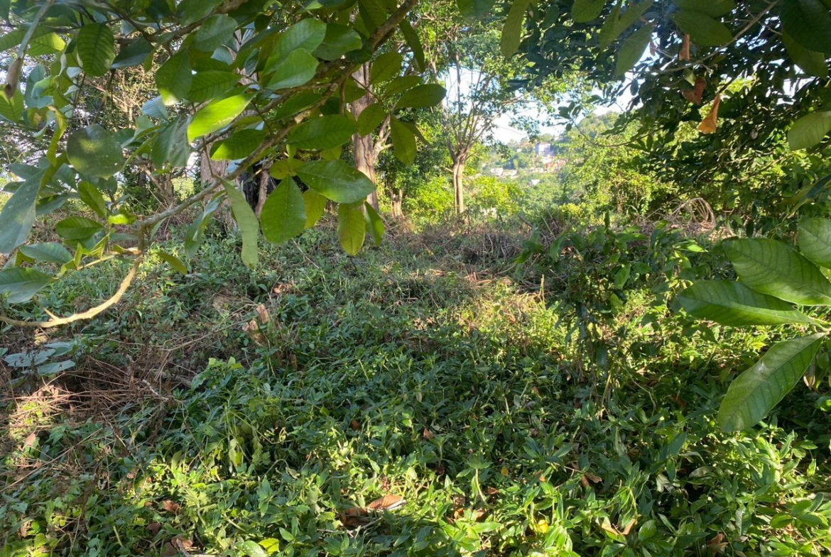First image of Eden Street in Mandeville, Manchester, Jamaica - property is For Sale