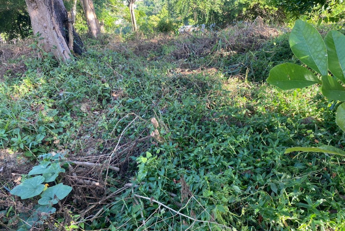 Fifth image of Eden Street in Mandeville, Manchester, Jamaica - property is For Sale