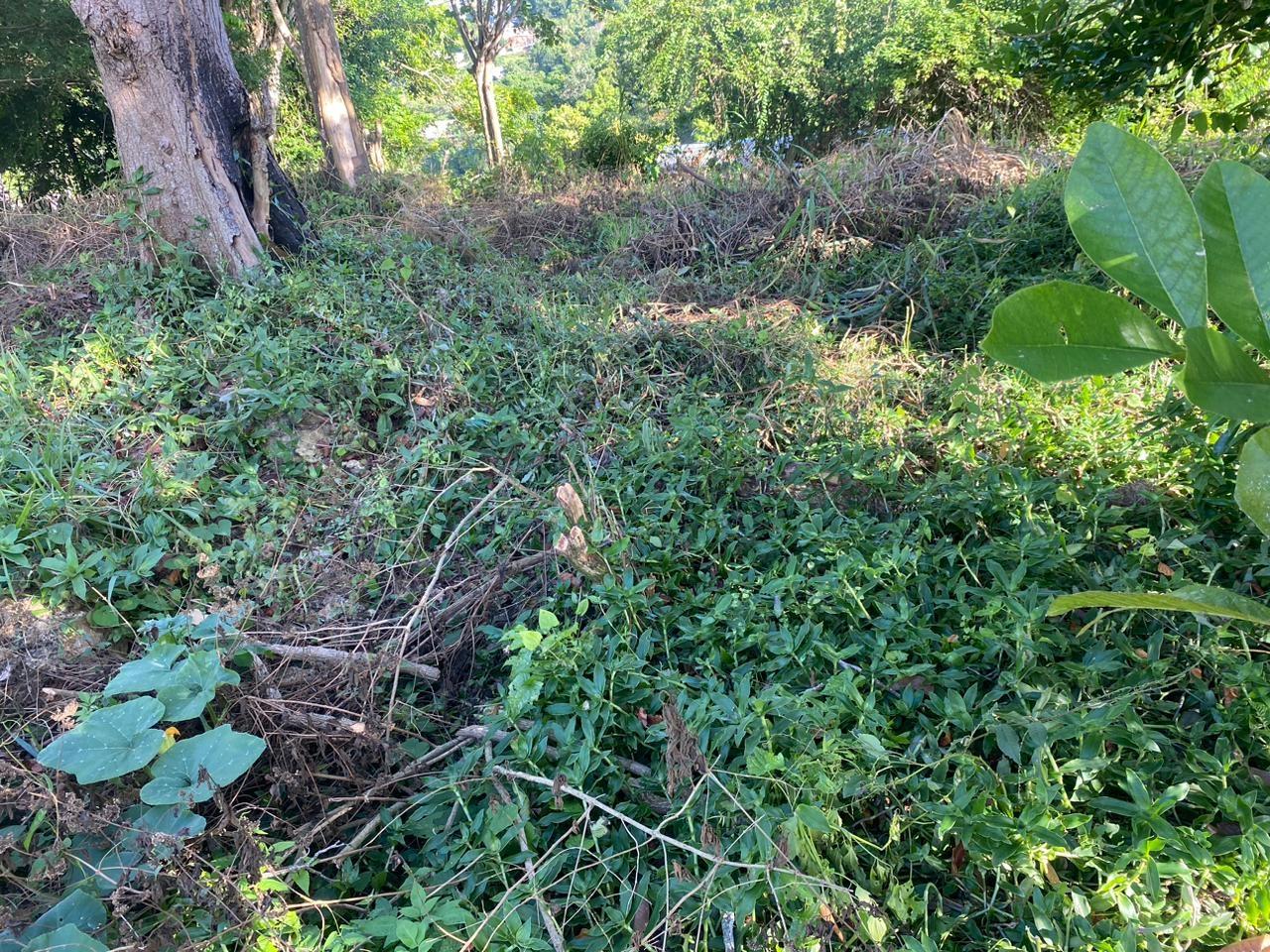 12000-sq-ft-Residential-Lot-for-Sale-in-Manchester-Jamaica Fifth image of Eden Street in Mandeville, Manchester, Jamaica - property is For Sale