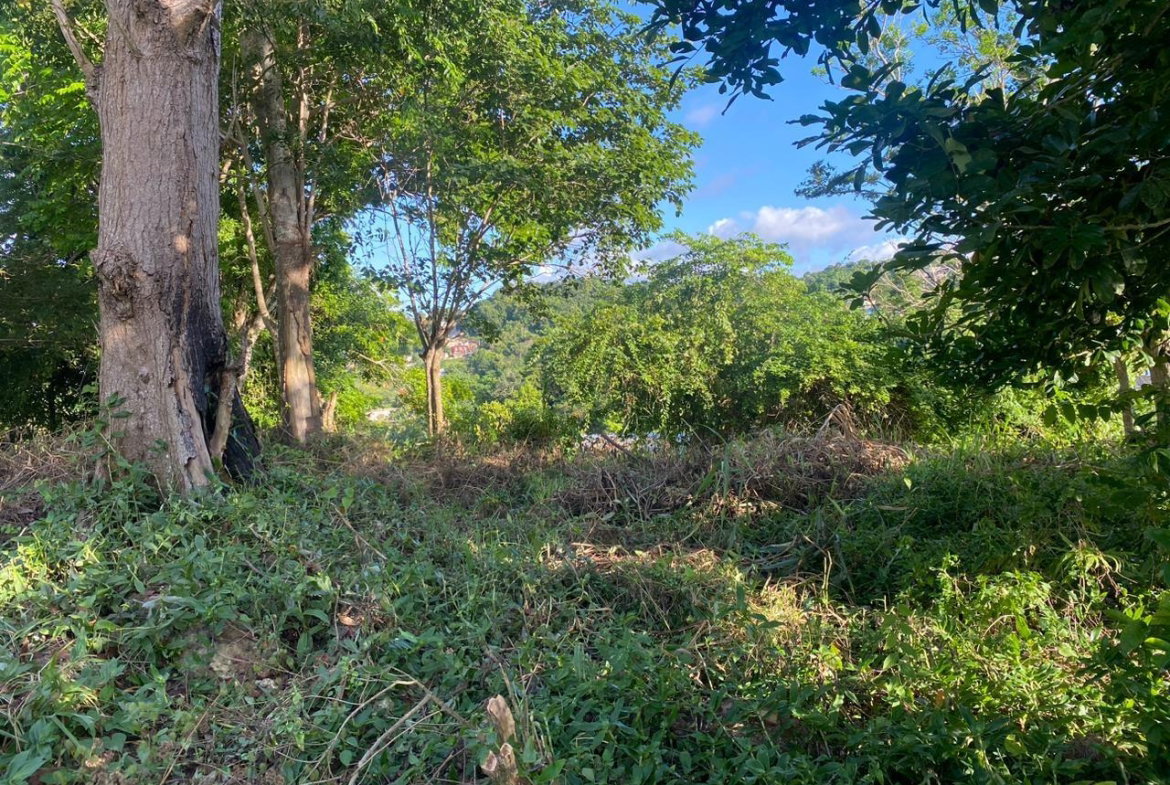 Sixth image of Eden Street in Mandeville, Manchester, Jamaica - property is For Sale