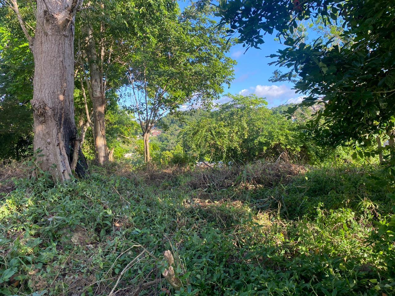 12000-sq-ft-Residential-Lot-for-Sale-in-Manchester-Jamaica Sixth image of Eden Street in Mandeville, Manchester, Jamaica - property is For Sale