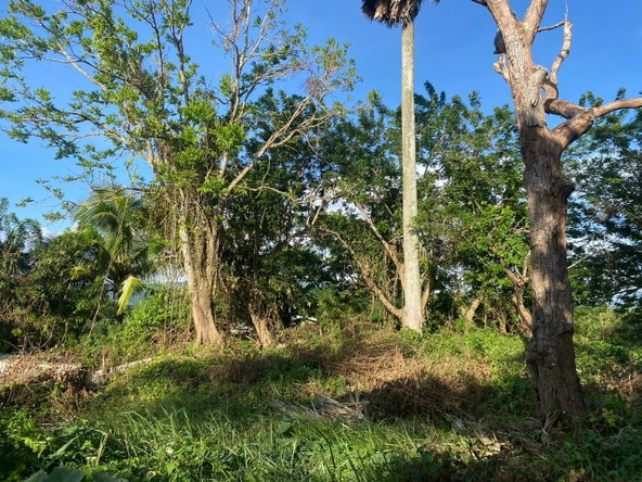 Eighth image of Eden Street in Mandeville, Manchester, Jamaica - property is For Sale