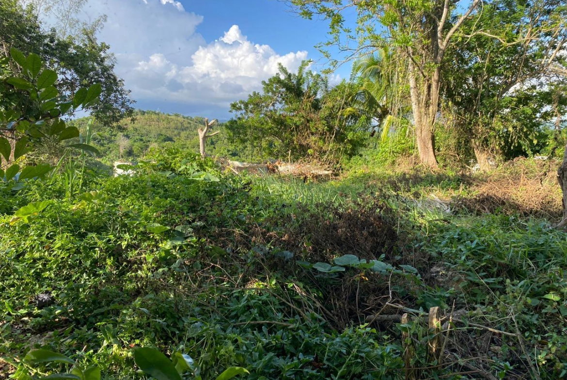 Tenth image of Eden Street in Mandeville, Manchester, Jamaica - property is For Sale