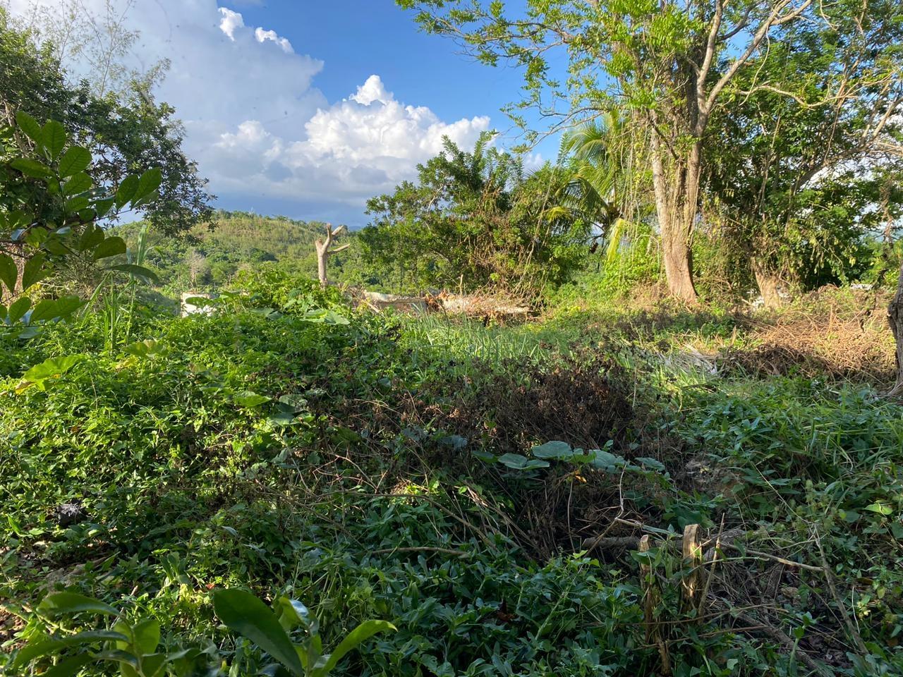 12000-sq-ft-Residential-Lot-for-Sale-in-Manchester-Jamaica Tenth image of Eden Street in Mandeville, Manchester, Jamaica - property is For Sale