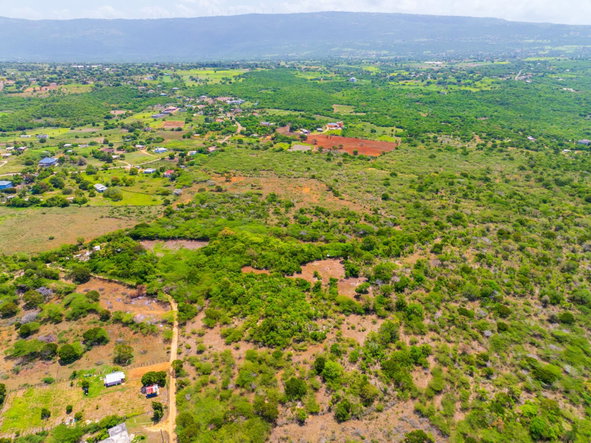 Fourteenth image of Jenny Pond in Treasure Beach, St. Elizabeth, Jamaica - property is For Sale