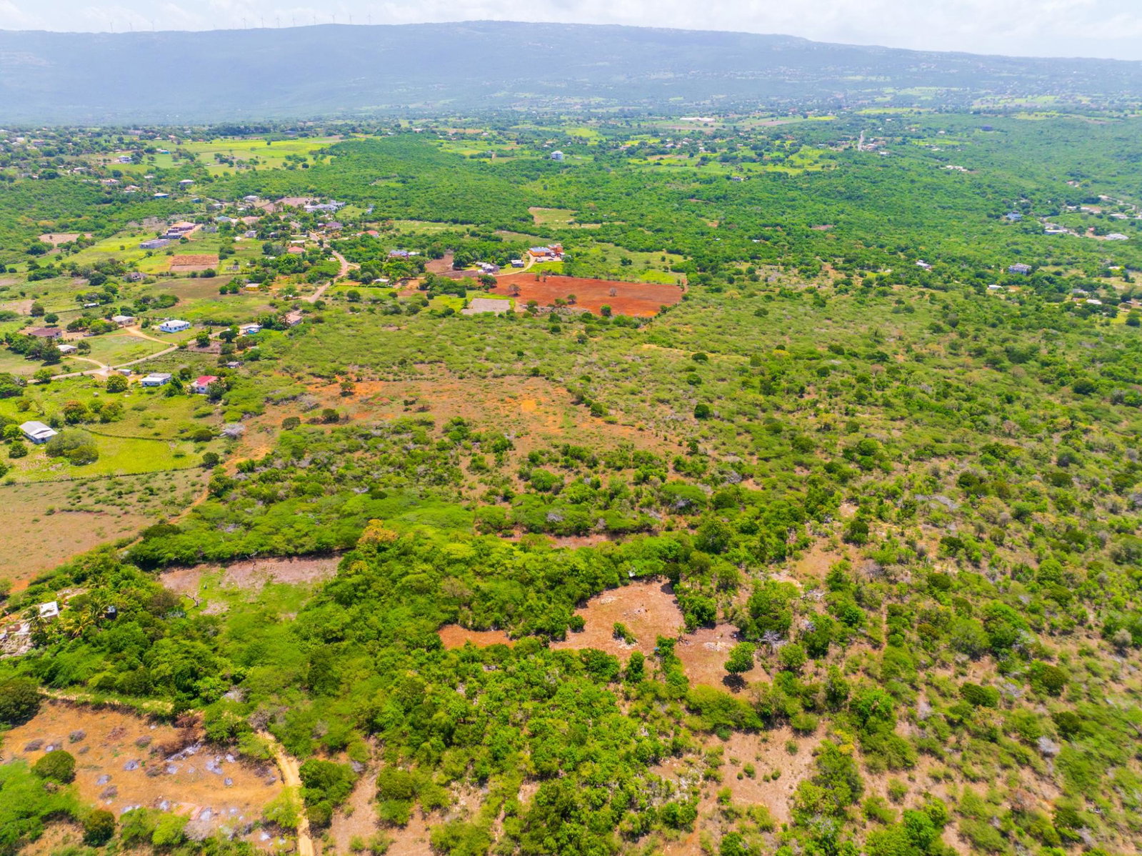 Fifteenth image of Jenny Pond in Treasure Beach, St. Elizabeth, Jamaica - property is For Sale