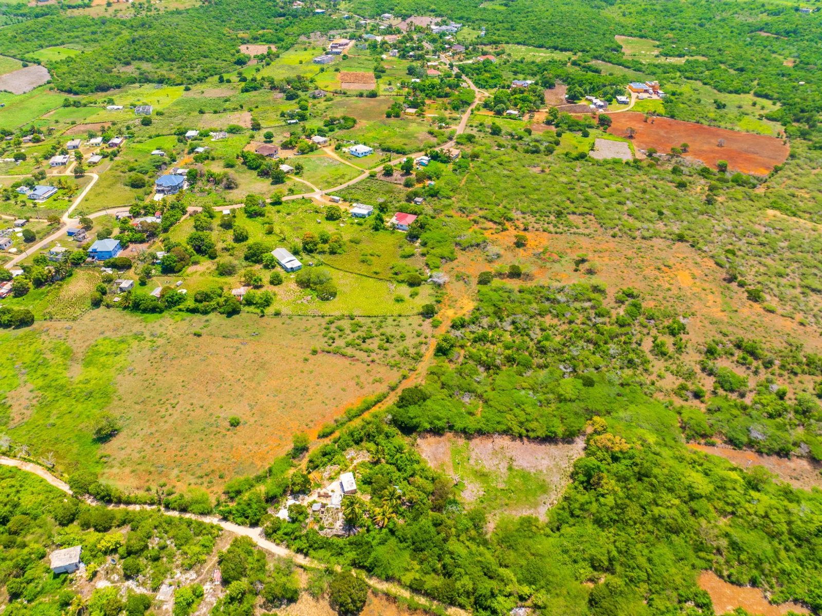 Sixteenth image of Jenny Pond in Treasure Beach, St. Elizabeth, Jamaica - property is For Sale