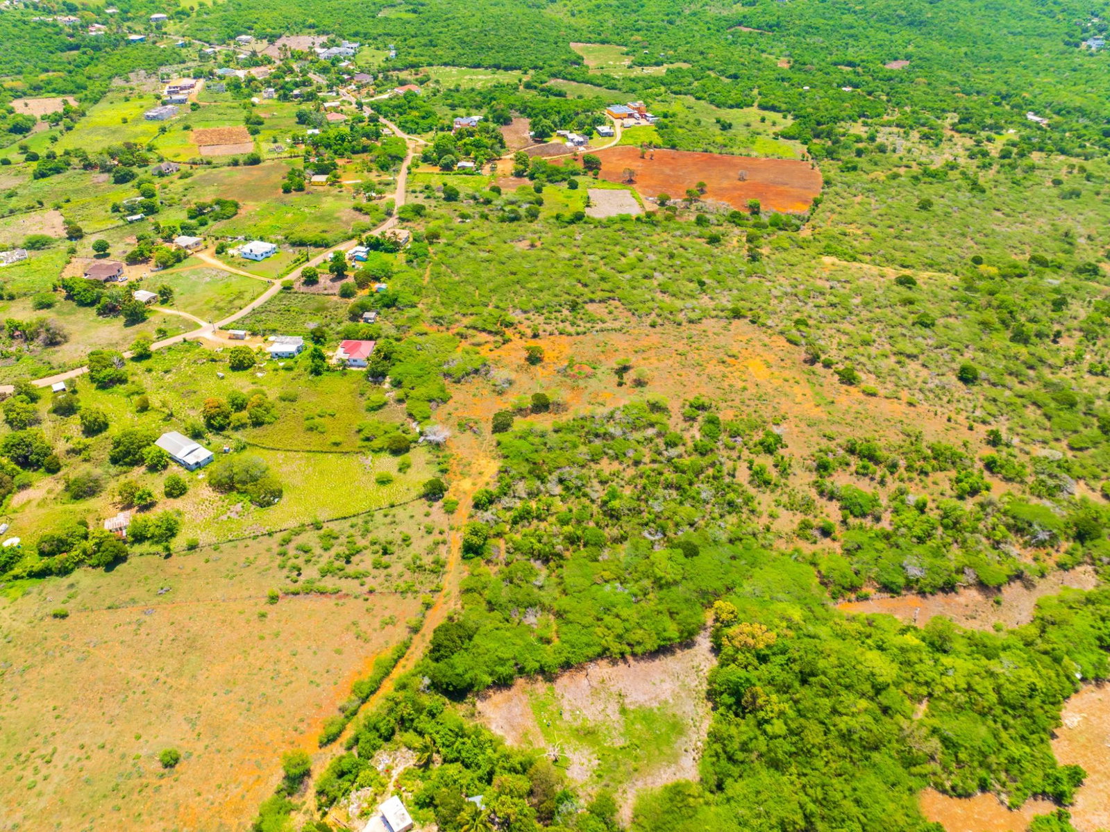 Seventeenth image of Jenny Pond in Treasure Beach, St. Elizabeth, Jamaica - property is For Sale