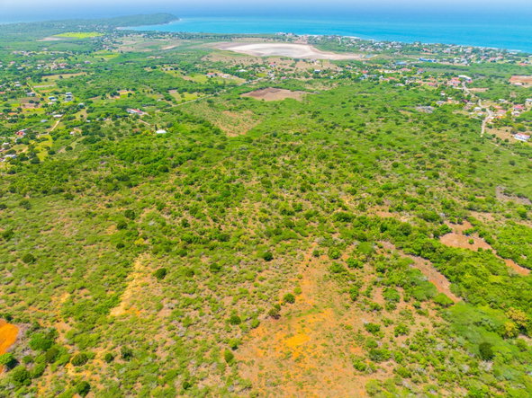 Twentieth image of Jenny Pond in Treasure Beach, St. Elizabeth, Jamaica - property is For Sale