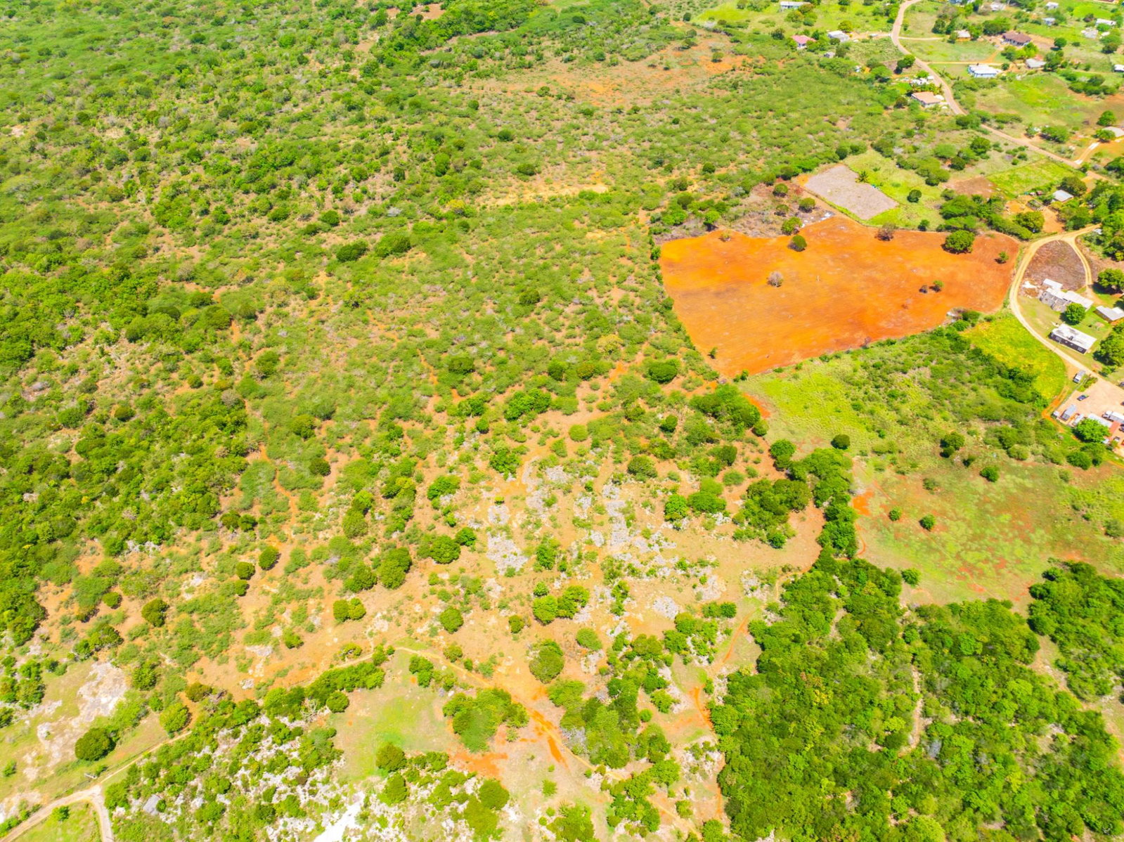 Twenty-Fifth image of Jenny Pond in Treasure Beach, St. Elizabeth, Jamaica - property is For Sale