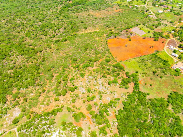 Twenty-Fifth image of Jenny Pond in Treasure Beach, St. Elizabeth, Jamaica - property is For Sale