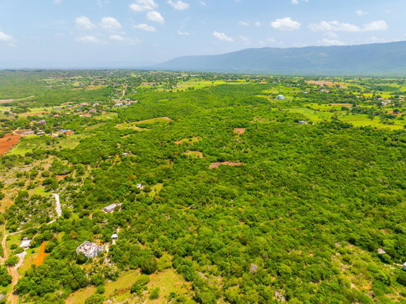 Twenty-Ninth image of Jenny Pond in Treasure Beach, St. Elizabeth, Jamaica - property is For Sale